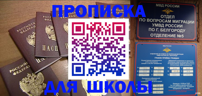 прописка гарантия в Апатитах